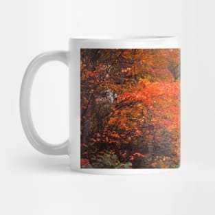 Autumn Flames Mug